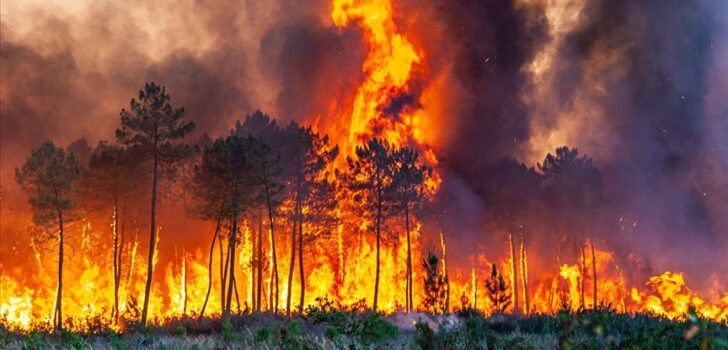 CAN KAYIPLARININ NEDENİ İHMALLER ZİNCİRİ Mİ?