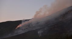 CANKURTARAN’DA ORMAN YANGINI