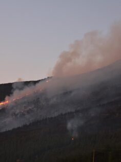 CANKURTARAN’DA ORMAN YANGINI