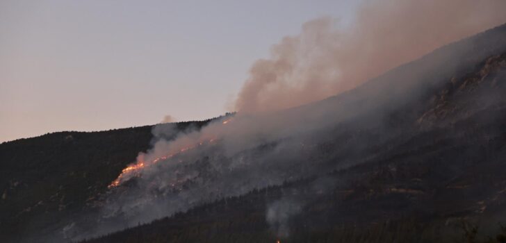 CANKURTARAN’DA ORMAN YANGINI