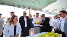 KALE’DE BİBER FESTİVALİ