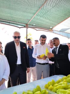 KALE’DE BİBER FESTİVALİ