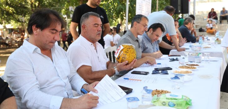 FESTİVALDE EN İYİ YOĞURT VE KAVUN BELİRLENDİ