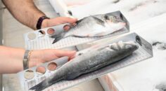 SU ÜRÜNLERİ DENETİMLERİ SÜRÜYOR