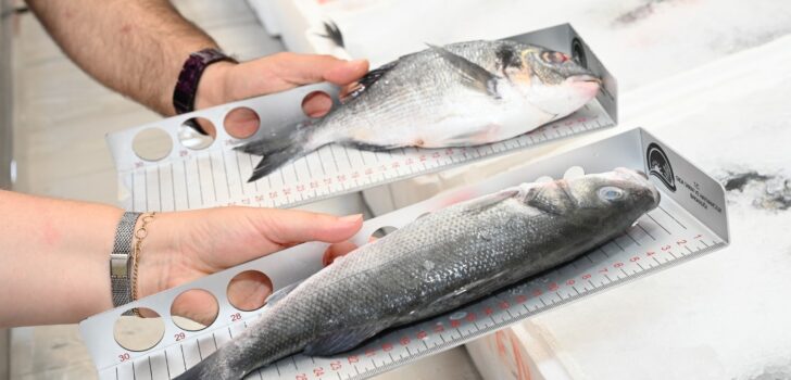 SU ÜRÜNLERİ DENETİMLERİ SÜRÜYOR