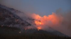 VALİLİK AÇIKLADI: RESMİ KAYNAKLARA İTİBAR EDİN!