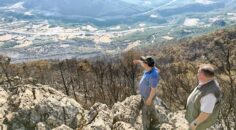 CANKURTARAN ORMAN YANGINININ YARALARI SARILACAK