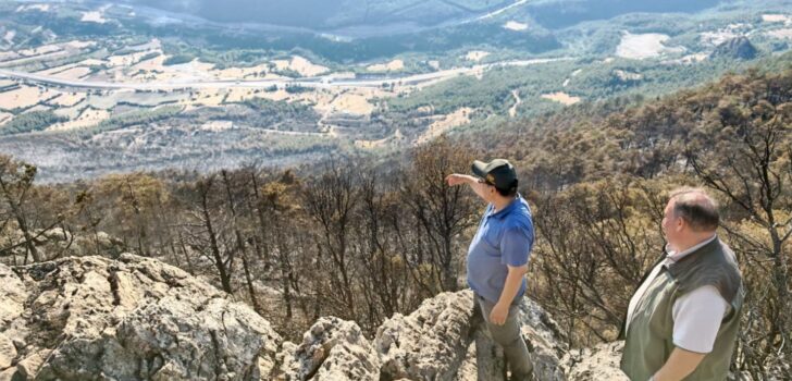 CANKURTARAN ORMAN YANGINININ YARALARI SARILACAK