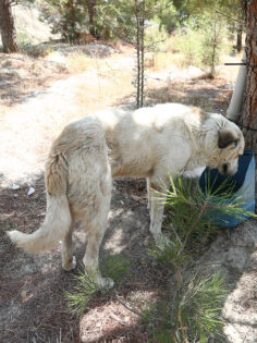 DOĞAYA VE CANLILARA SAHİP ÇIKAN PROJE