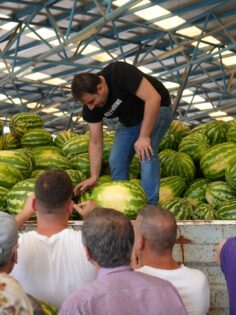 ALIN TERİ ZİYAN OLMADI, SOFRALARA ULAŞTI