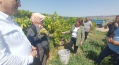 DÜZELTEMİYORSANIZ İSTİFA EDİN TEPKİSİ