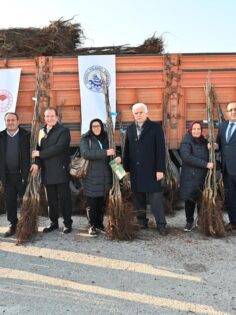 DENİZLİ, CEVİZ ÜRETİMİNDE ZİRVEDE