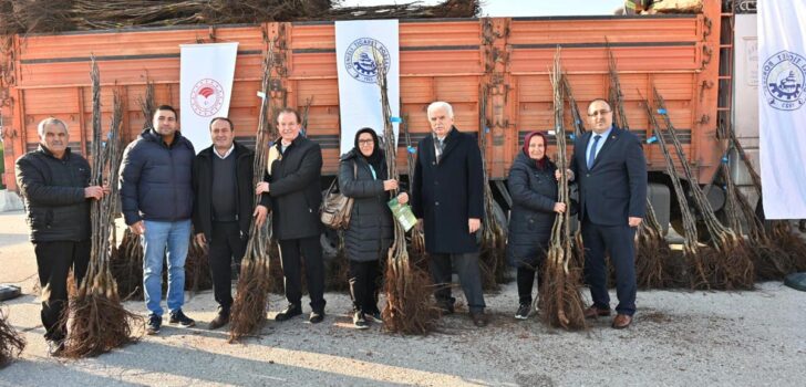 DENİZLİ, CEVİZ ÜRETİMİNDE ZİRVEDE