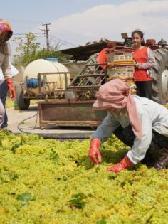 “TARİŞ ALGI OYUNU YAPIYOR, ÜRETİCİ DE TÜKETİCİ DE MUTSUZ”