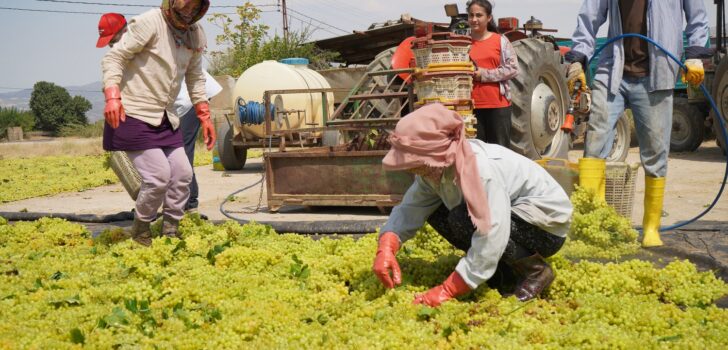 “TARİŞ ALGI OYUNU YAPIYOR, ÜRETİCİ DE TÜKETİCİ DE MUTSUZ”