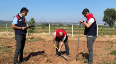 DENİZLİ’DE TOPRAK KORUNUYOR