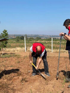 DENİZLİ’DE TOPRAK KORUNUYOR