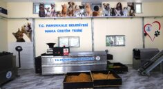 PAMUKKALE BELEDİYESİ CAN DOSTLAR İÇİN MAMA ÜRETİMİNE BAŞLADI