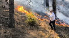 BULDAN’DA 2 HEKTAR ORMAN KÜL OLDU