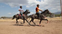 TAVAS’TA RAHVAN AT YARIŞI HEYECANI YAŞANDI