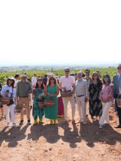 ÇAL BAĞBOZUMU FESTİVALİ’NDE KÜLTÜR, SANAT VE BAĞCILIK BİR ARADA