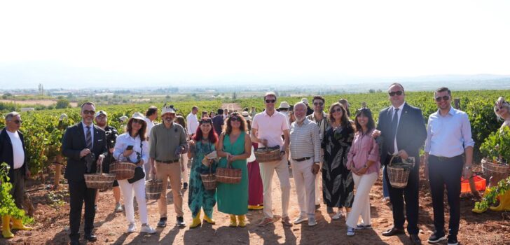 ÇAL BAĞBOZUMU FESTİVALİ’NDE KÜLTÜR, SANAT VE BAĞCILIK BİR ARADA