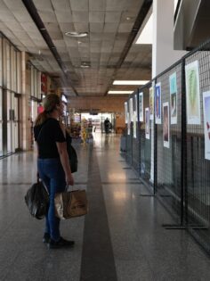 DÜNYA BARIŞ GÜNÜ SERGİSİ TERMİNALDE VATANDAŞLARLA BULUŞUYOR