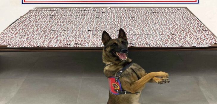 BİNLERCE UYUŞTURUCU HAP ELE GEÇİRİLDİ