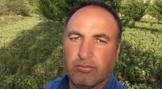 AĞACA ÇARPAN TRAKTÖR SÜRÜCÜSÜ ÖLDÜ