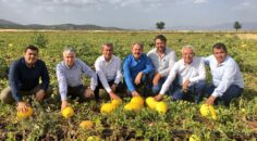 ACIPAYAM KAVUNU TESCİLLENDİ