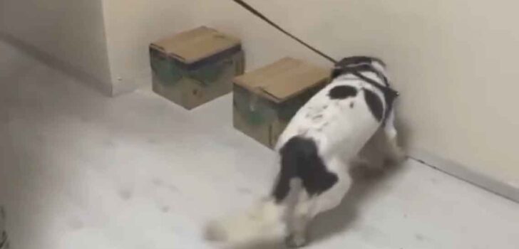 ZEHİR TACİRLERİ OTOBÜSTE YAKALANDI