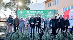 ÜRETİCİYE 100 BİN ZEYTİN FİDANI DESTEĞİ