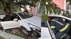 OTOMOBİL ÖNCE AĞACA SONRA EVE ÇARPTI: 4 YARALI