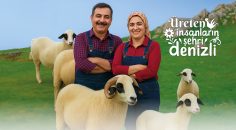 BÜYÜKŞEHİR’DEN KOYUN-KOÇ DESTEĞİ