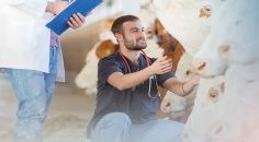 DENİZLİ BÜYÜKŞEHİR’DEN ÜRETİCİYE SAHADA DESTEK