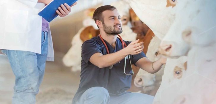 DENİZLİ BÜYÜKŞEHİR’DEN ÜRETİCİYE SAHADA DESTEK