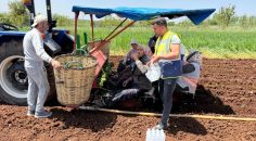 TARIM İŞÇİLERİNE SERİNLETEN İKRAM